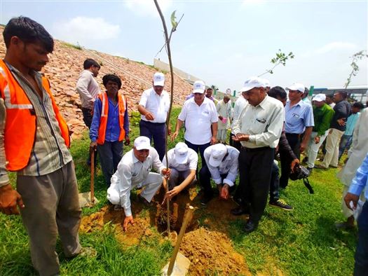  72 वें स्वतंत्रता दिवस पर यूपीडा द्वारा आगरा-लखनऊ एक्सप्रेस-वे पर 25000 वृक्षों का रोपण/ The occasion of 72nd Independence Day, UPEIDA has planted 25,000 trees across the Agra-Lucknow Expressway